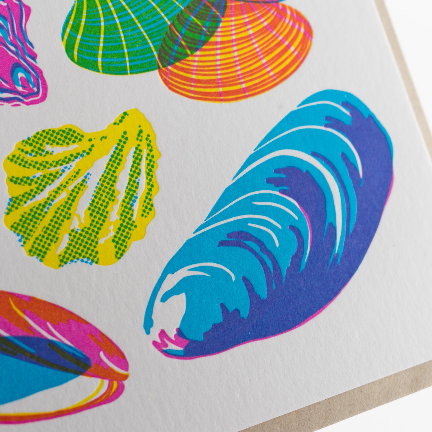 Card: Molluscs Greeting Card - Vibrant Life Series
