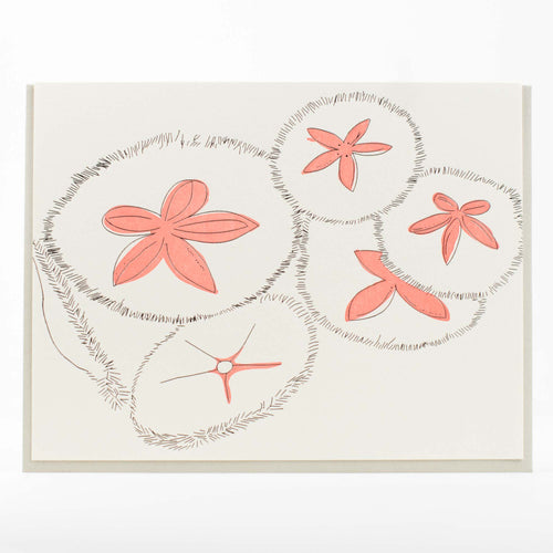 Card: Aquatic Series - Sand Dollars - Letterpress Greeting Card