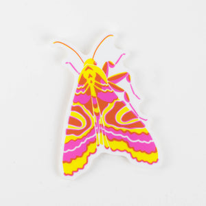 Sticker: Moth