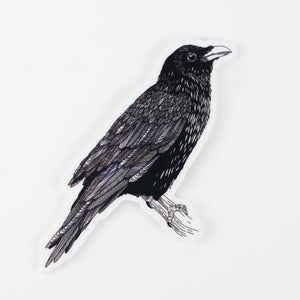 Sticker: Raven