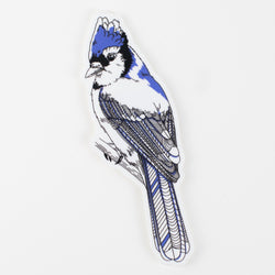 Sticker: Blue Jay