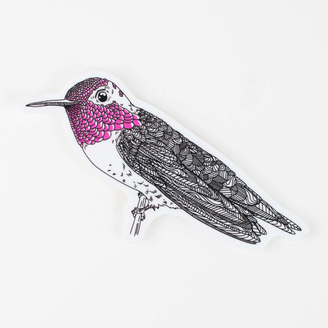 Sticker: Anna's Hummingbird