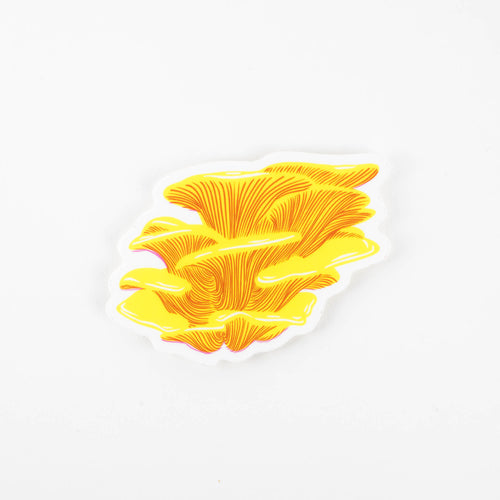 Sticker: Chicken of the Woods Mushroom