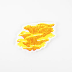 Sticker: Chicken of the Woods Mushroom
