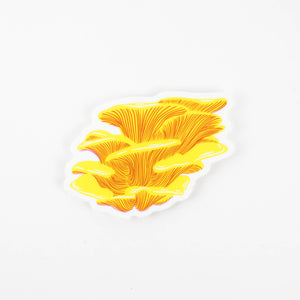 Sticker: Chicken of the Woods Mushroom