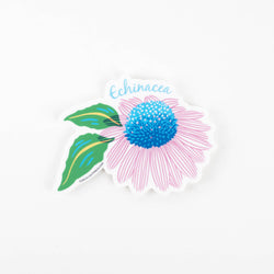 Sticker: Vibrant Echinacea