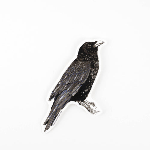 Sticker: Raven