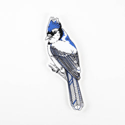 Sticker illustration of a blue jay bird on a white background