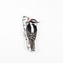 Sticker: Downy Woodpecker