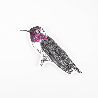 Illustration of a hummingbird with pink throat on a white background