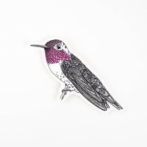 Illustration of a hummingbird with pink throat on a white background