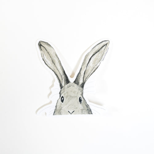 Sticker: Oops Rabbit