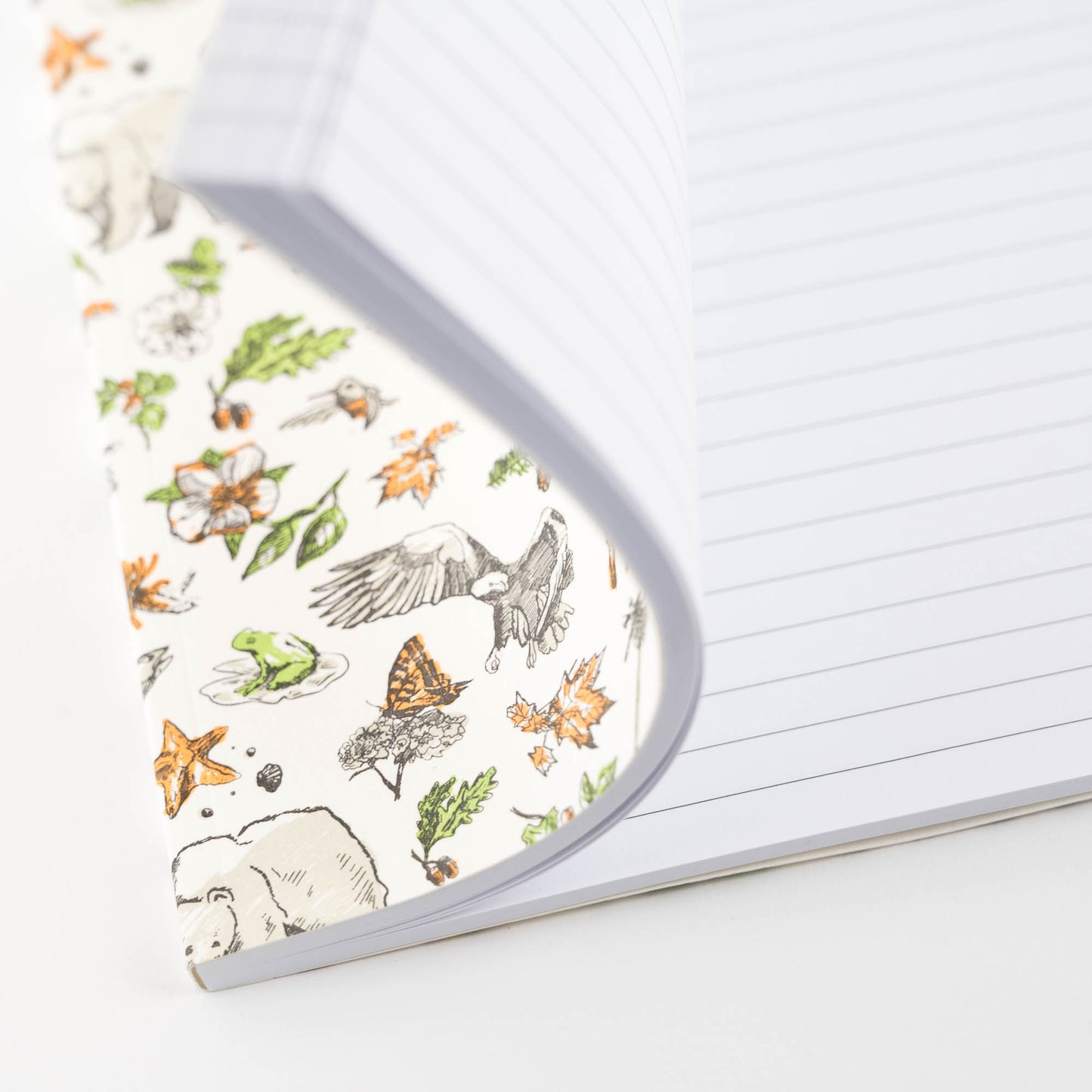 Journal: Fauna
