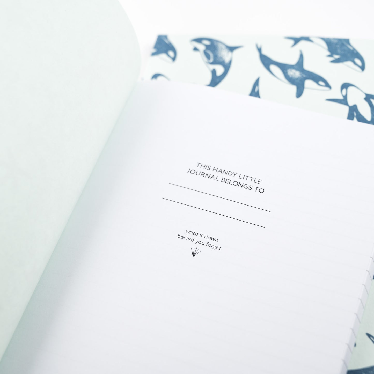 Journal: Orca Keystone