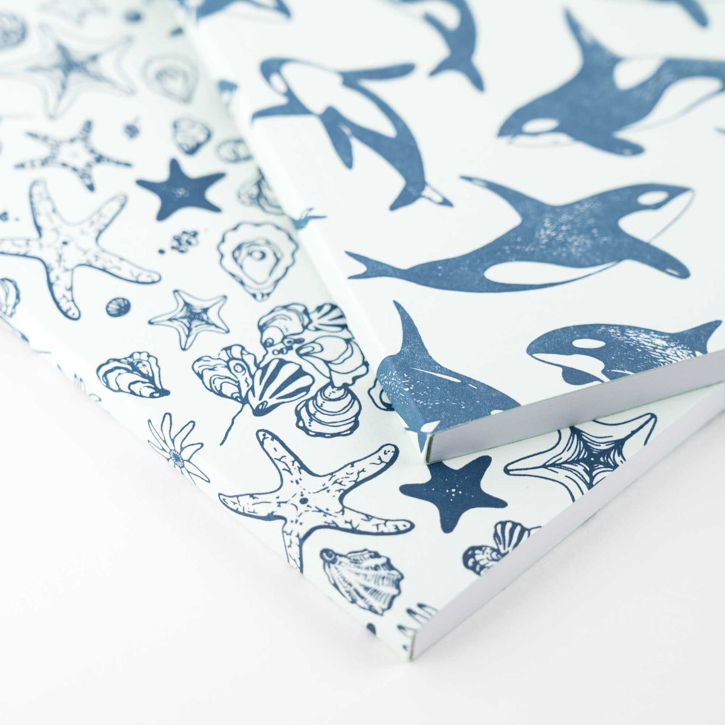 Journal: Ocean Keystone