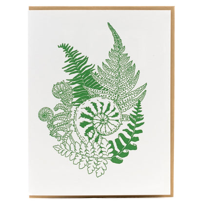 Card: Fiddlehead Fern Greeting Card - Foraging Series