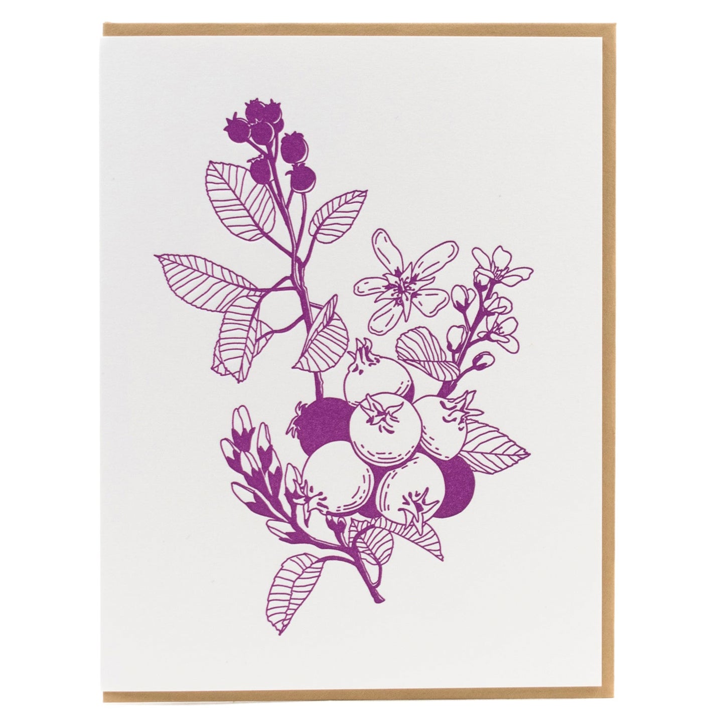 Card: Saskatoon Berry Greeting Card - Foraging Series
