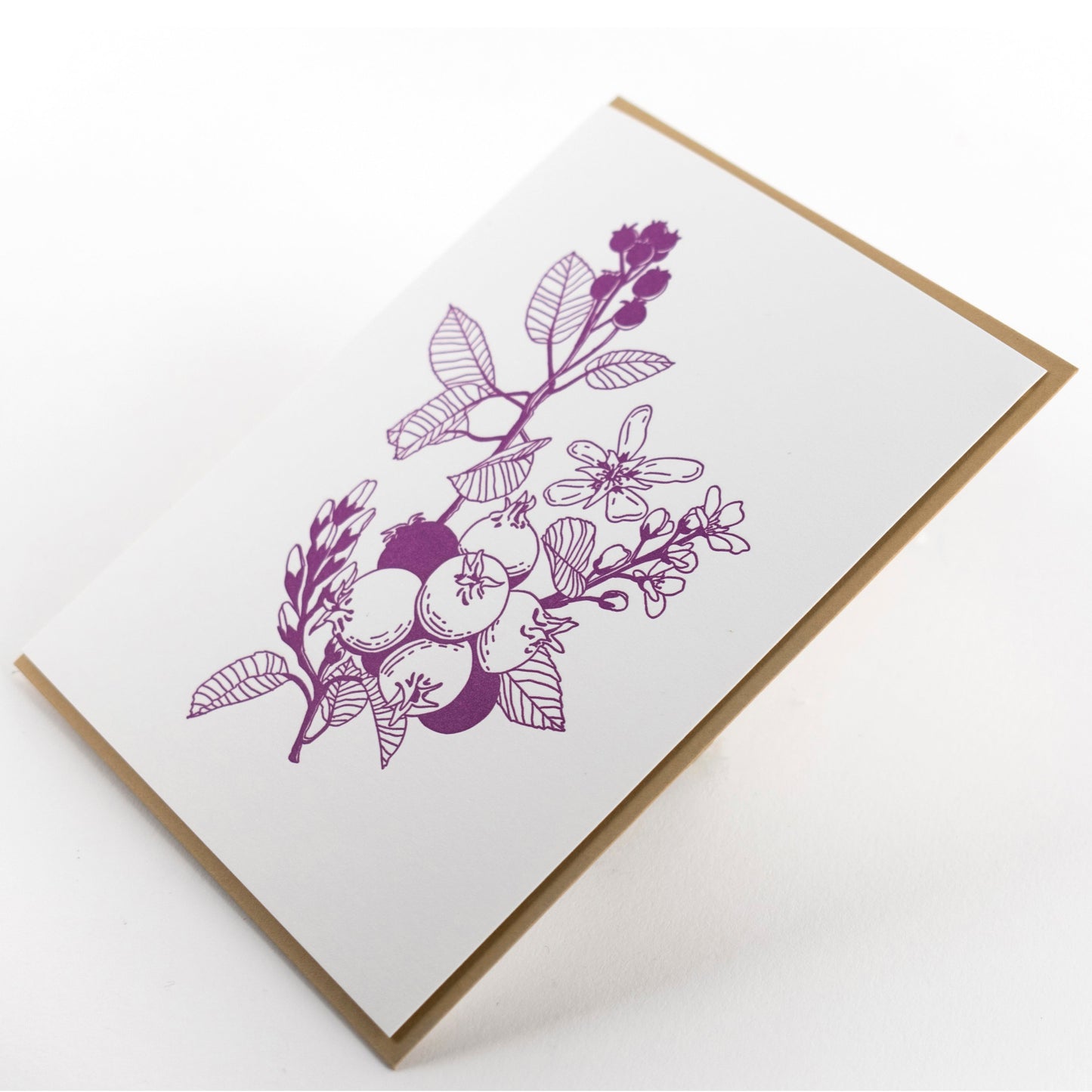 Card: Saskatoon Berry Greeting Card - Foraging Series