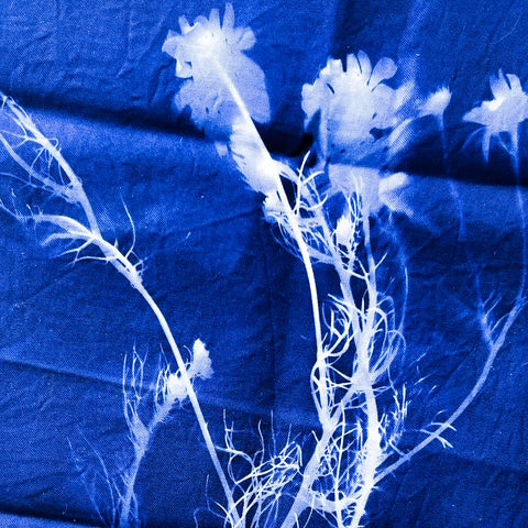 Cyanotype Workshop | October 6, 2026