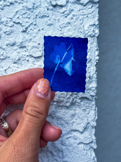 Cyanotype Workshop | October 6, 2026