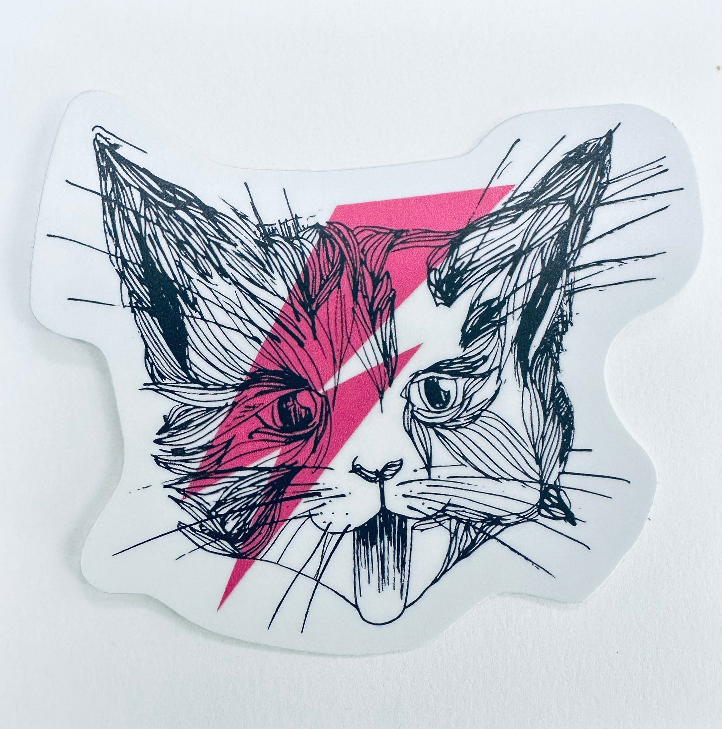 Sticker: Ziggy Star Cat