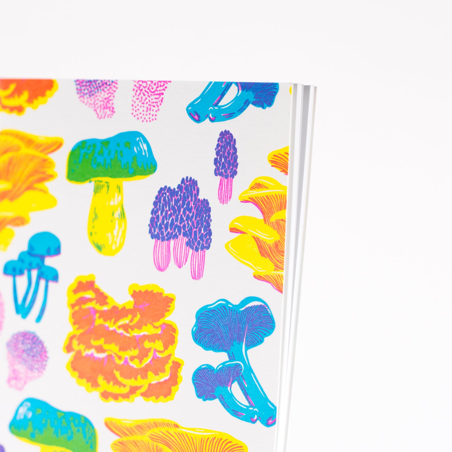 Notebook: Vibrant Life Series - Fruiting Fungi Pocket Notebook