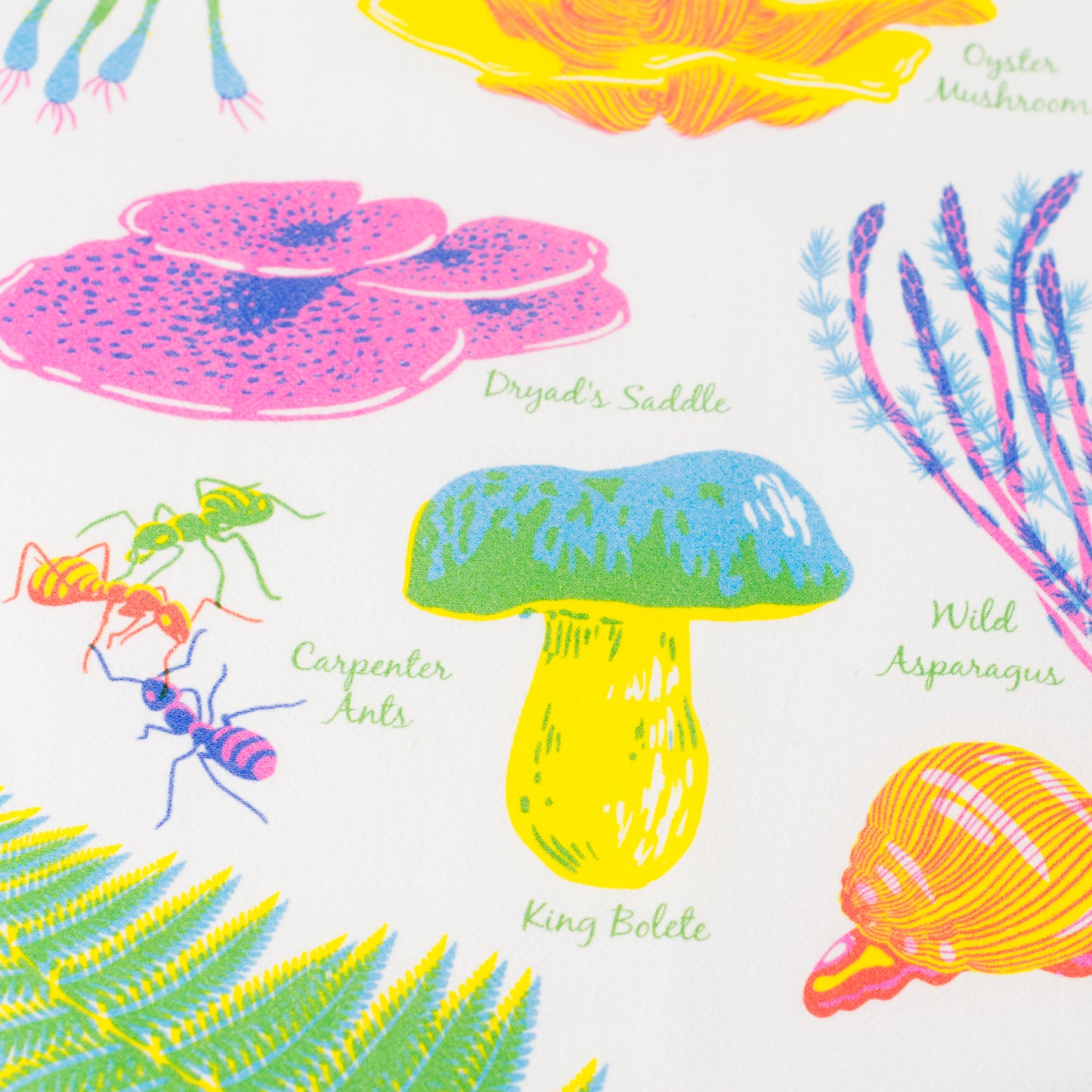 Tea Towel: Forest Floor - Vibrant Life Series