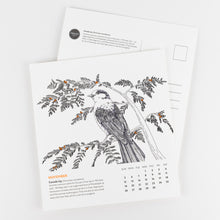 Birds of North America Calendar 2023