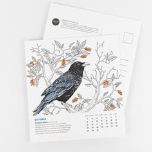 Birds of North America Calendar 2023