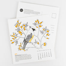Birds of North America Calendar 2023