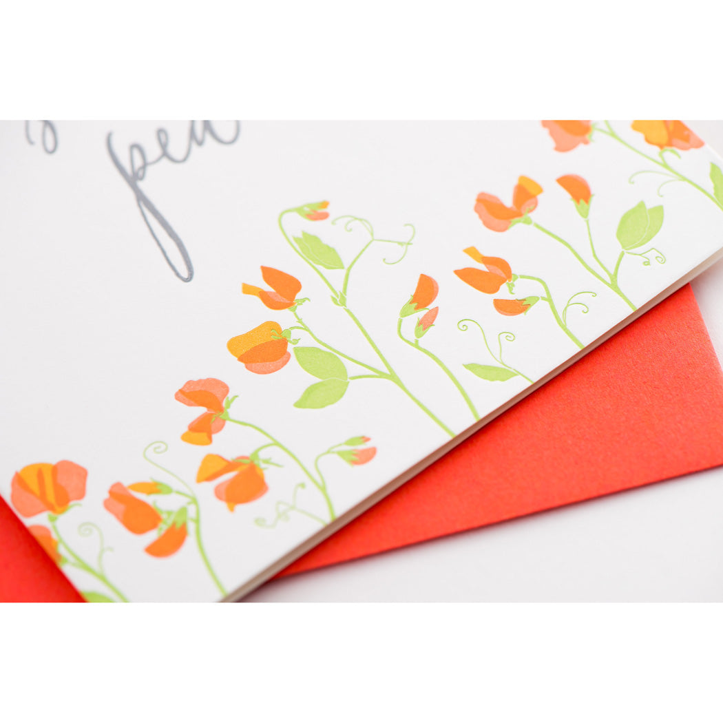 Card: Hello Sweet Pea