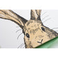 Card: Oops Rabbit
