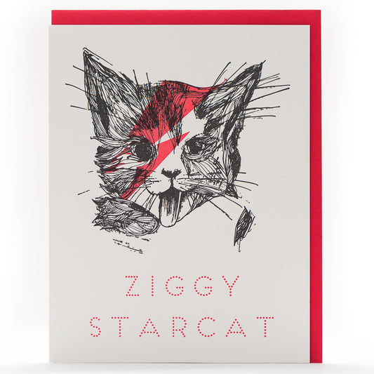 Card: Ziggy Cat