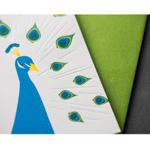 Card: Peacock Modern