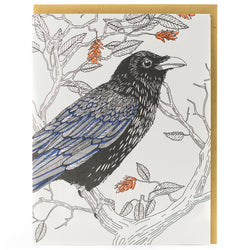 Card: Common Raven - Nature Birds Series