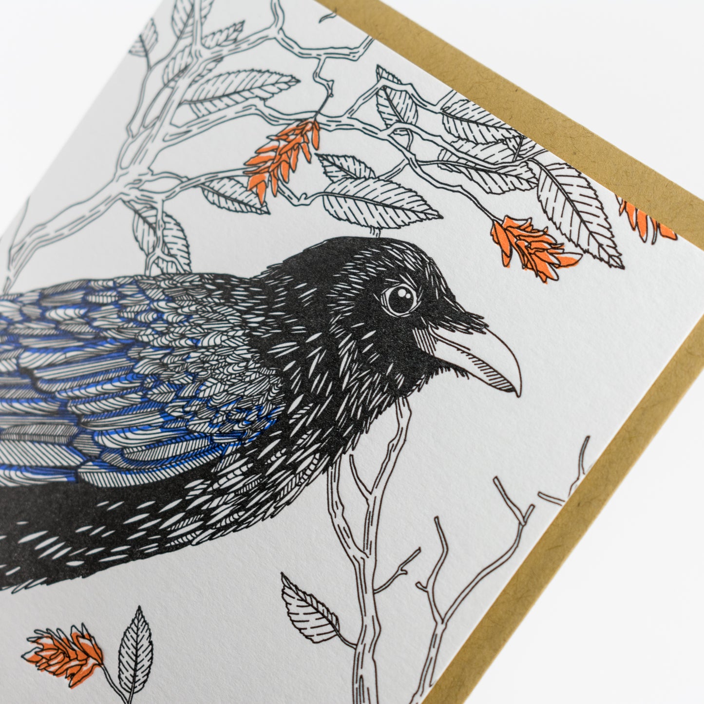 Card: Common Raven - Nature Birds Series