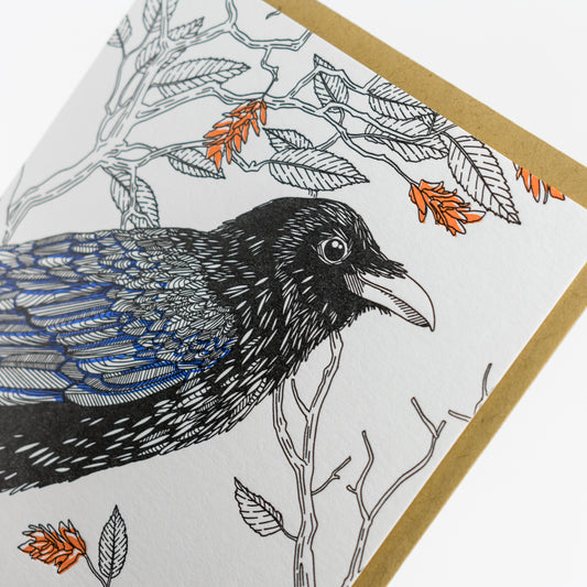 Card: Common Raven - Nature Birds Series