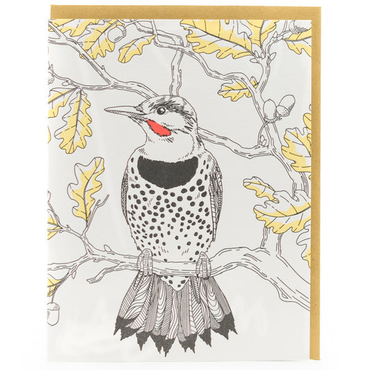 Card: Northern Flicker - Nature Birds Series