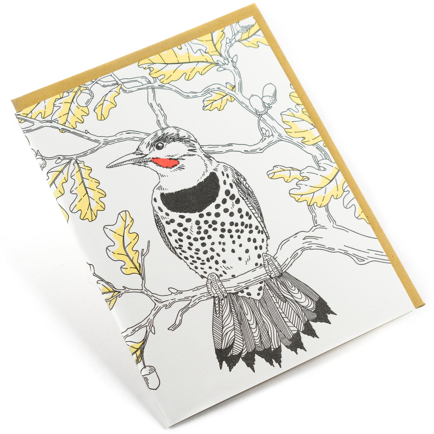 Card: Northern Flicker - Nature Birds Series