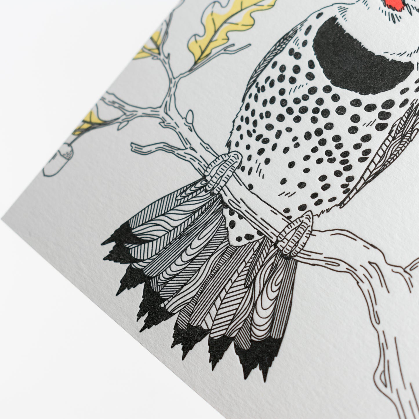 Card: Northern Flicker - Nature Birds Series
