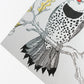 Card: Northern Flicker - Nature Birds Series