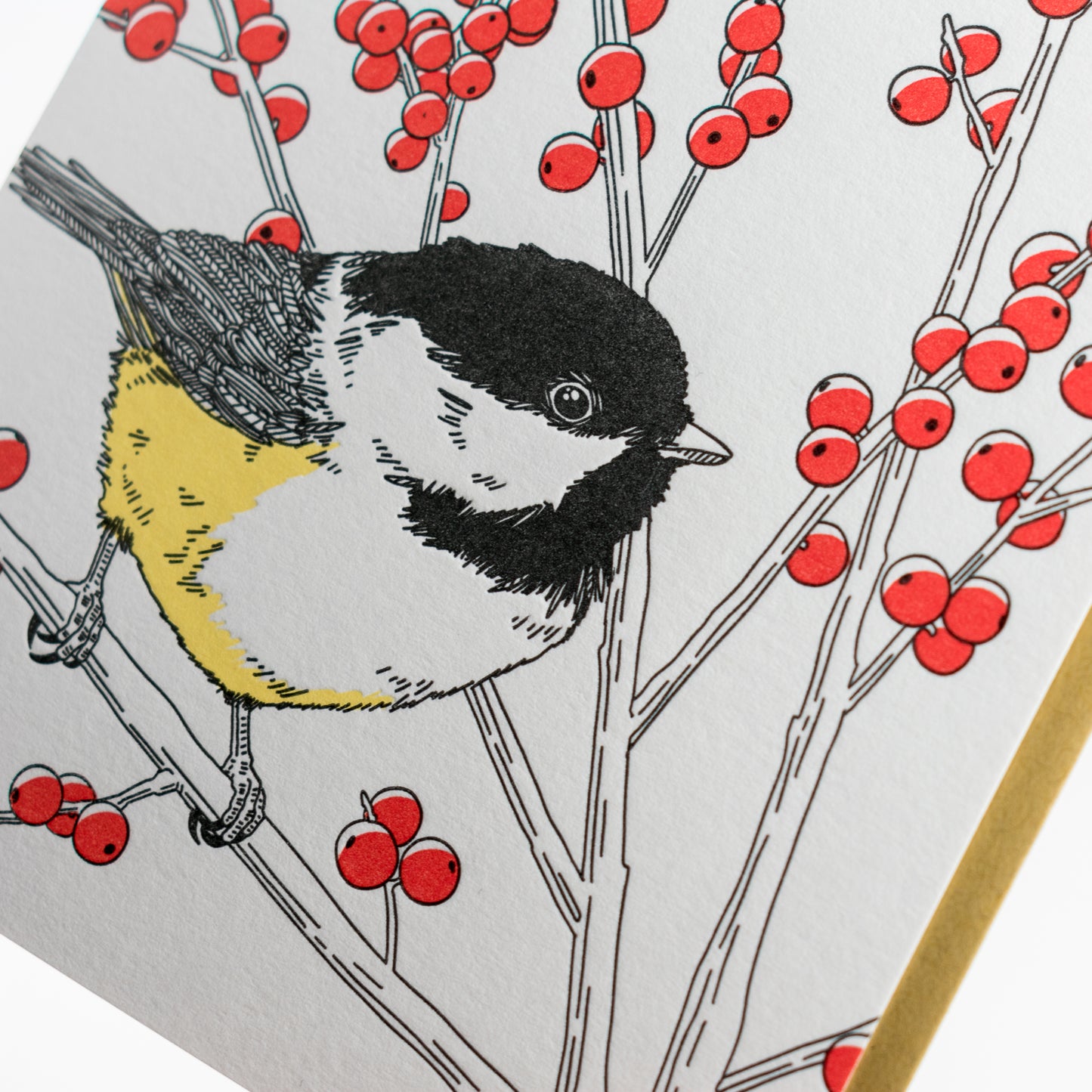Card: Black-capped Chickadee - Nature Bird Series