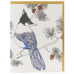 Card: Stellar's Jay_Nature Bird Series