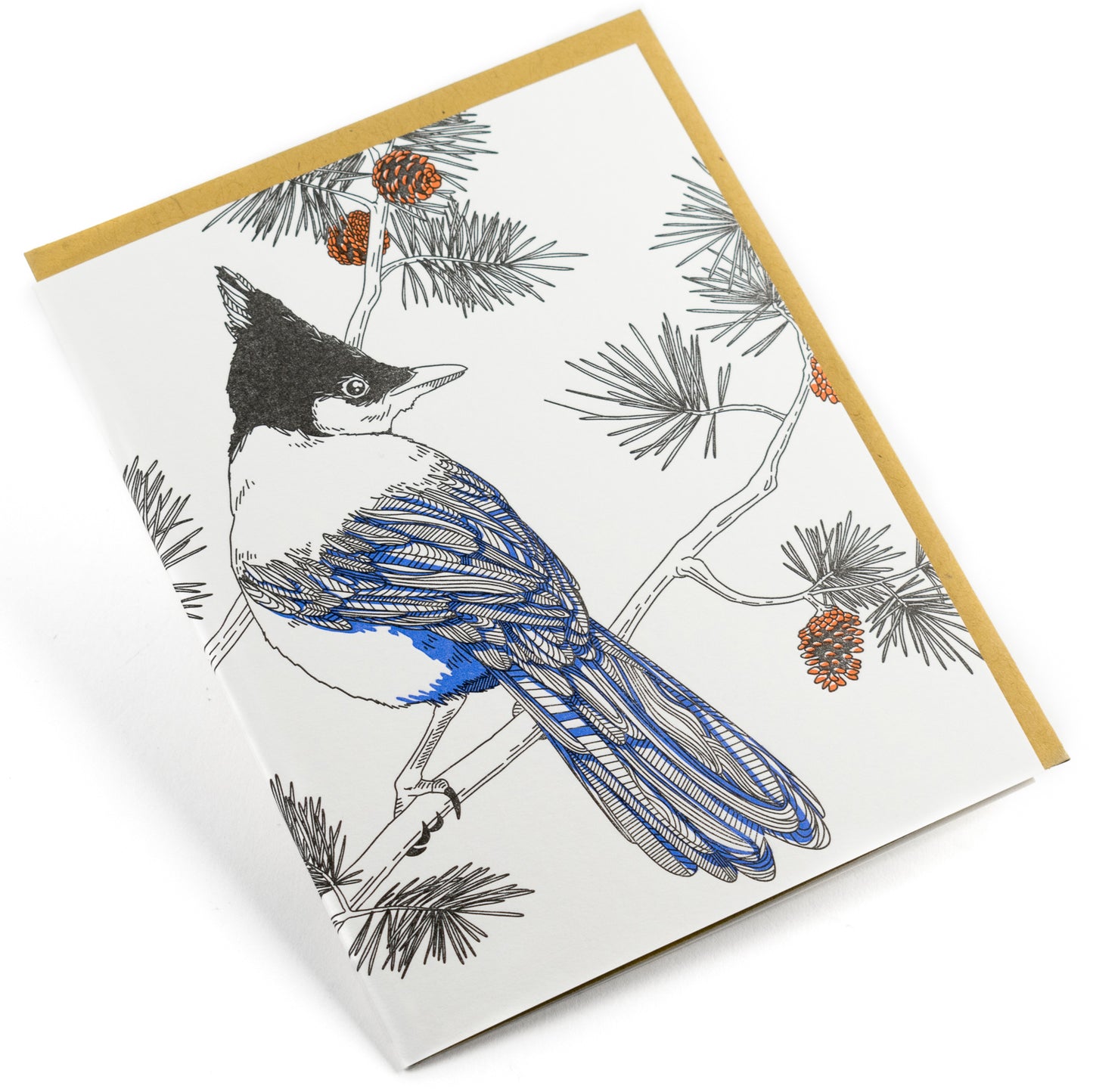 Card: Steller's Jay - Nature Bird Series