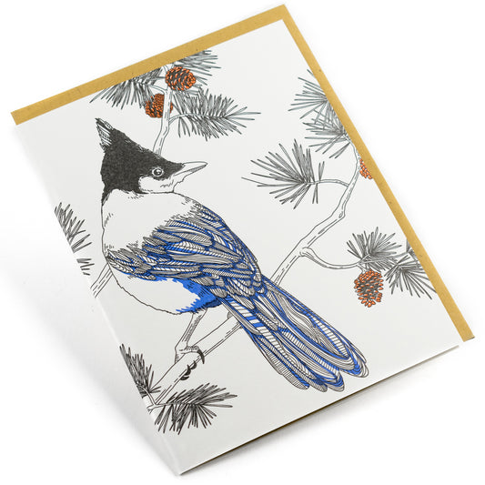 Card: Steller's Jay - Nature Bird Series