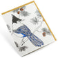 Card: Steller's Jay - Nature Bird Series