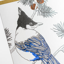 Card: Steller's Jay - Nature Bird Series