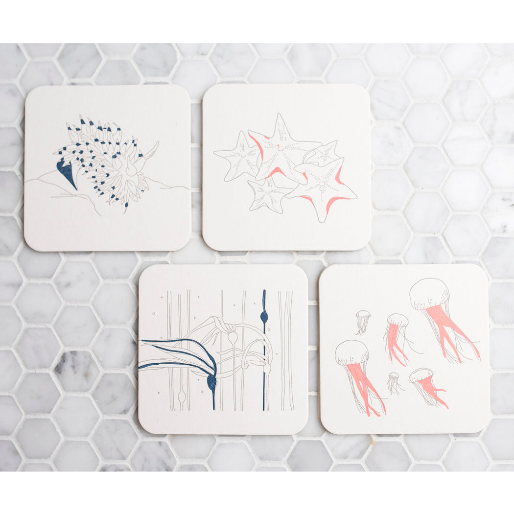 Coaster: Aquatic Theme (Set of 12)