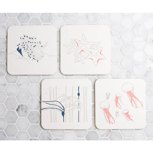 Coaster: Aquatic Theme (Set of 12)
