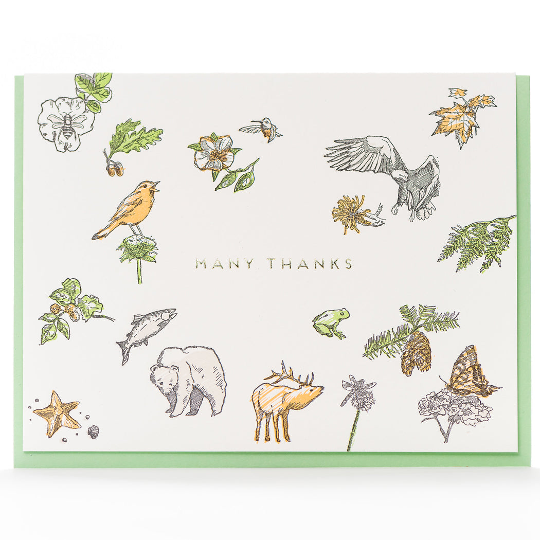 Card: Many Thanks Flora & Fauna